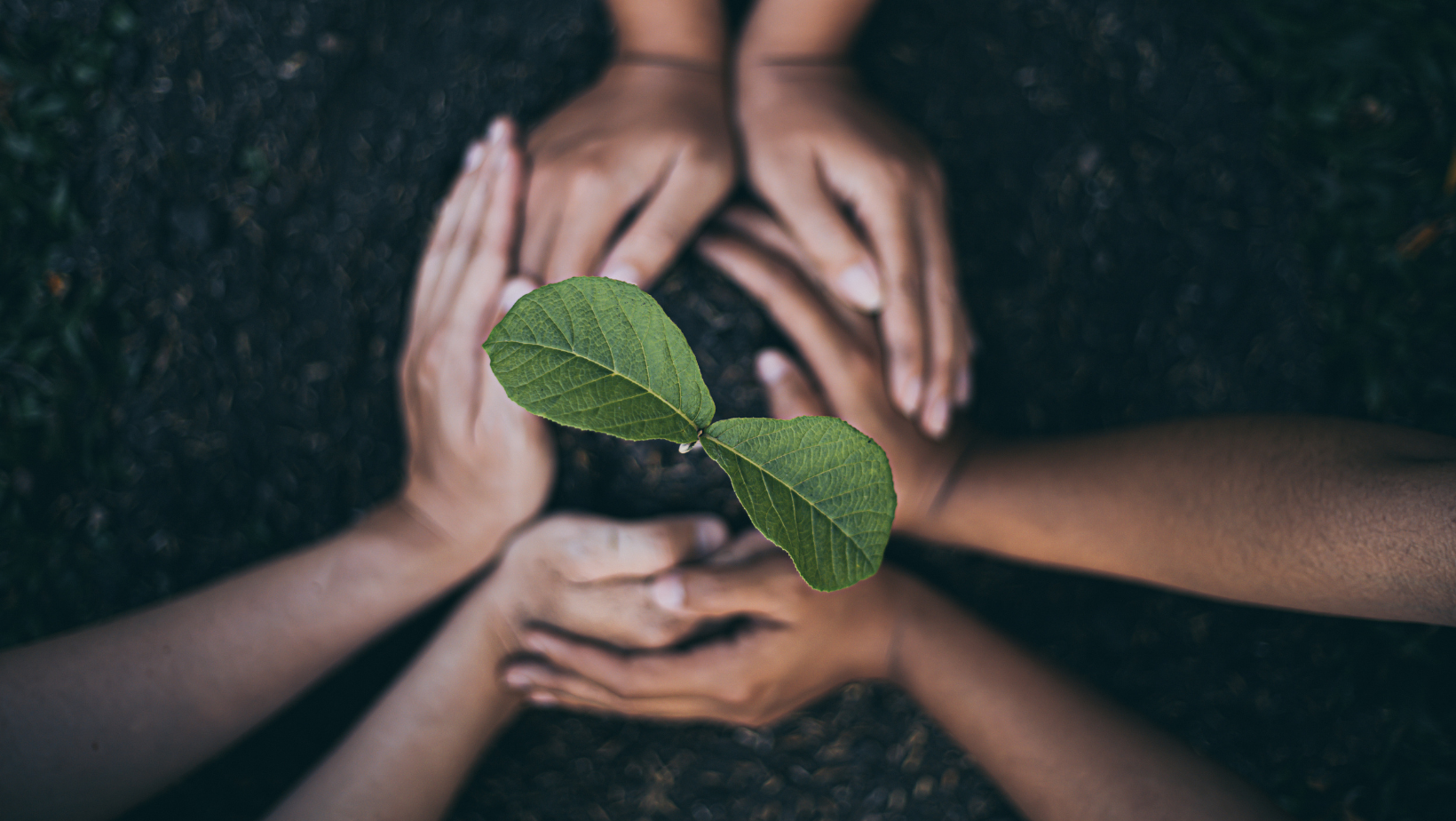 5 Tips to Be More Sustainable