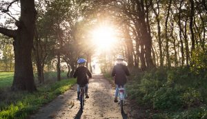 kids riding in forest with bikes