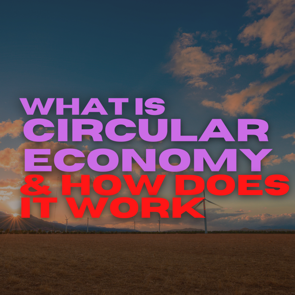 what-is-a-circular-economy-how-does-it-work-linky-innovation