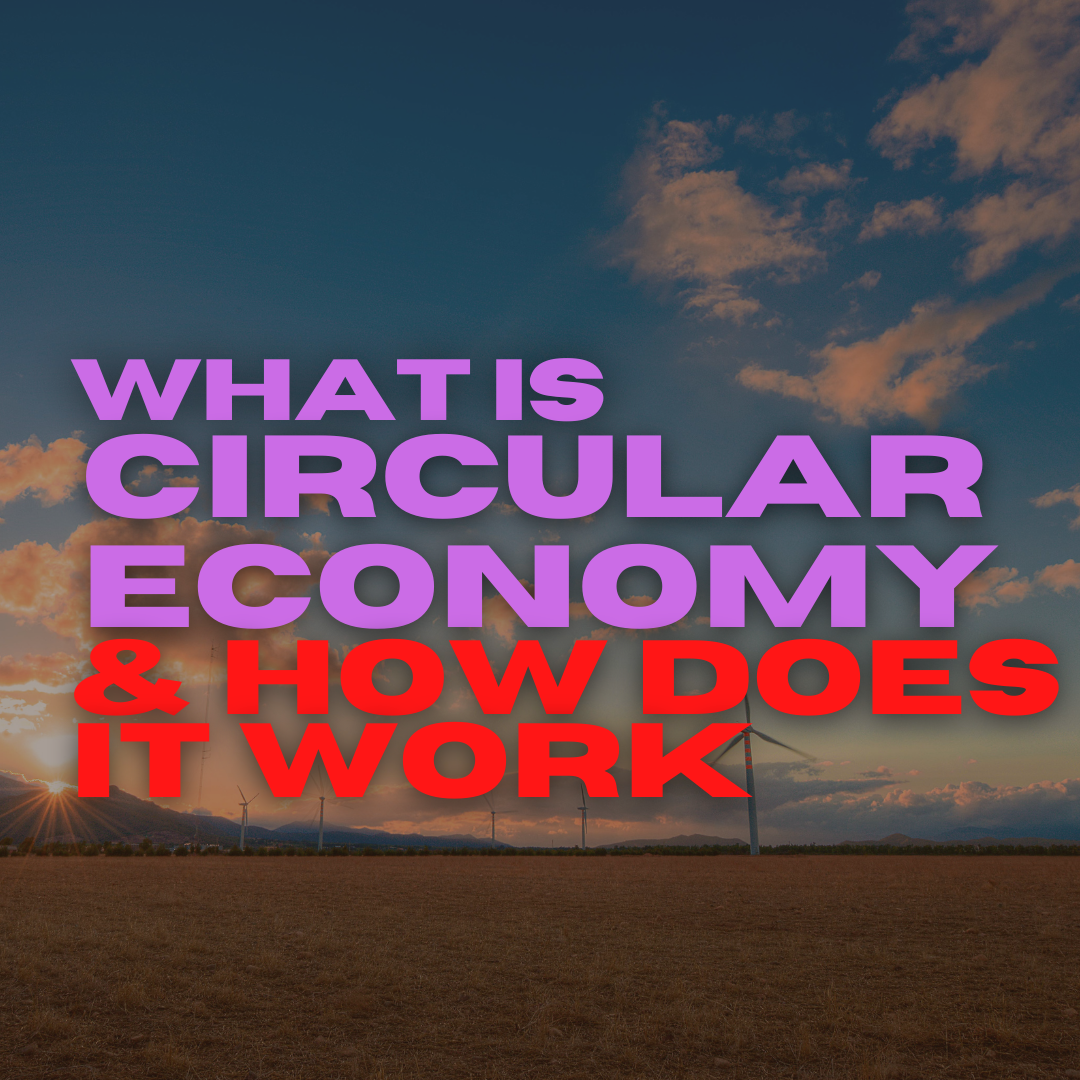 What Is A Circular Economy How Does It Work Linky Innovation