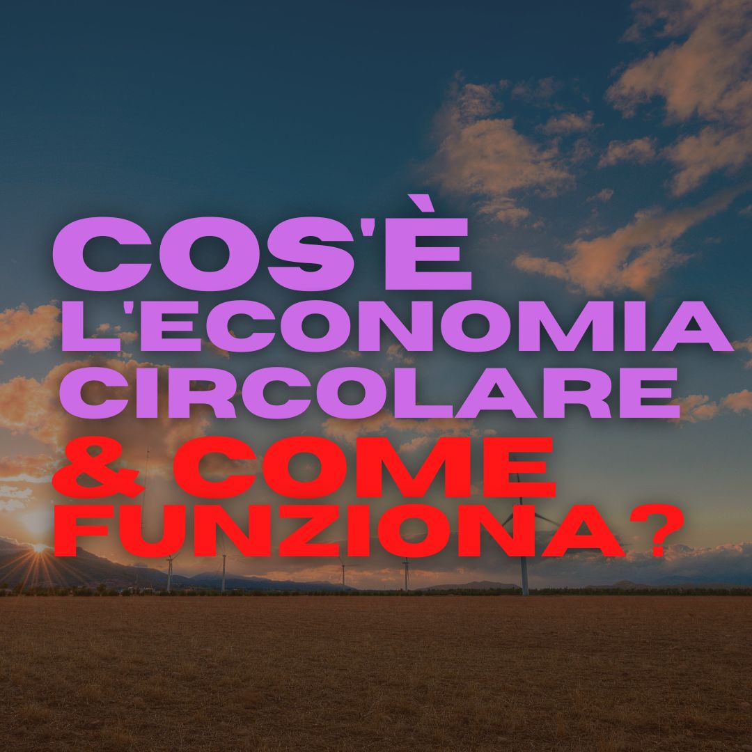 Cos’è l’Economia Circolare & Come Funziona?