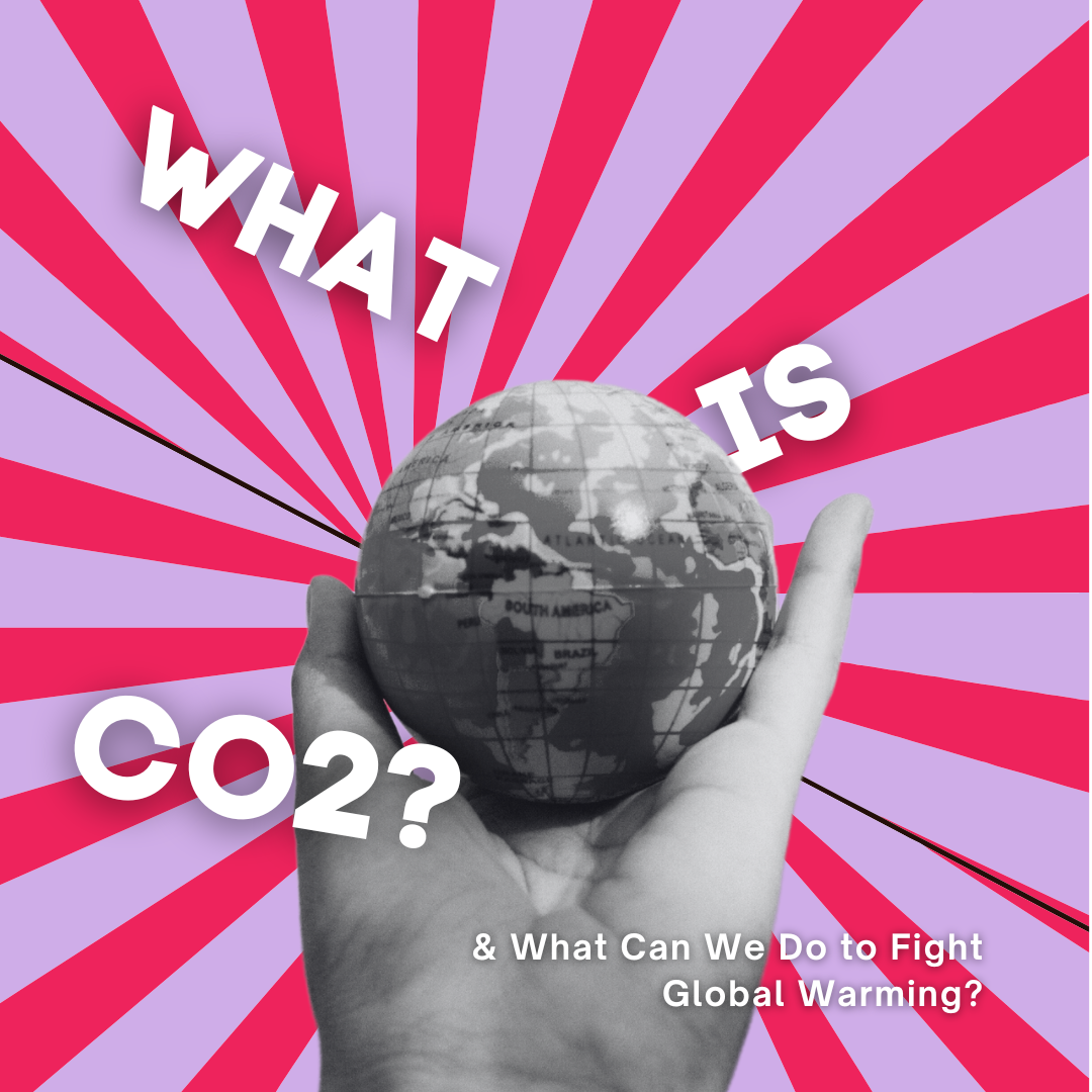 What is CO2 & How to Reduce It to Address Global Warming